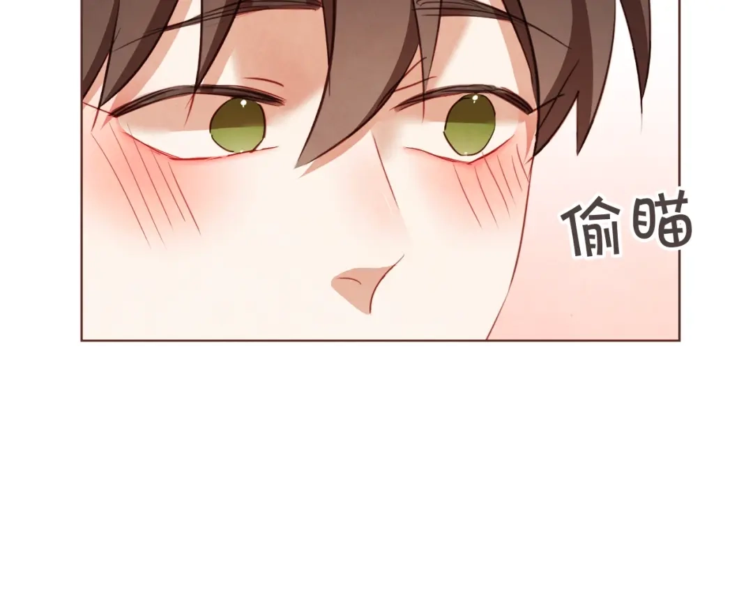 《胡说，哪有什么吸血鬼！》第40话 一直盯着 第12页