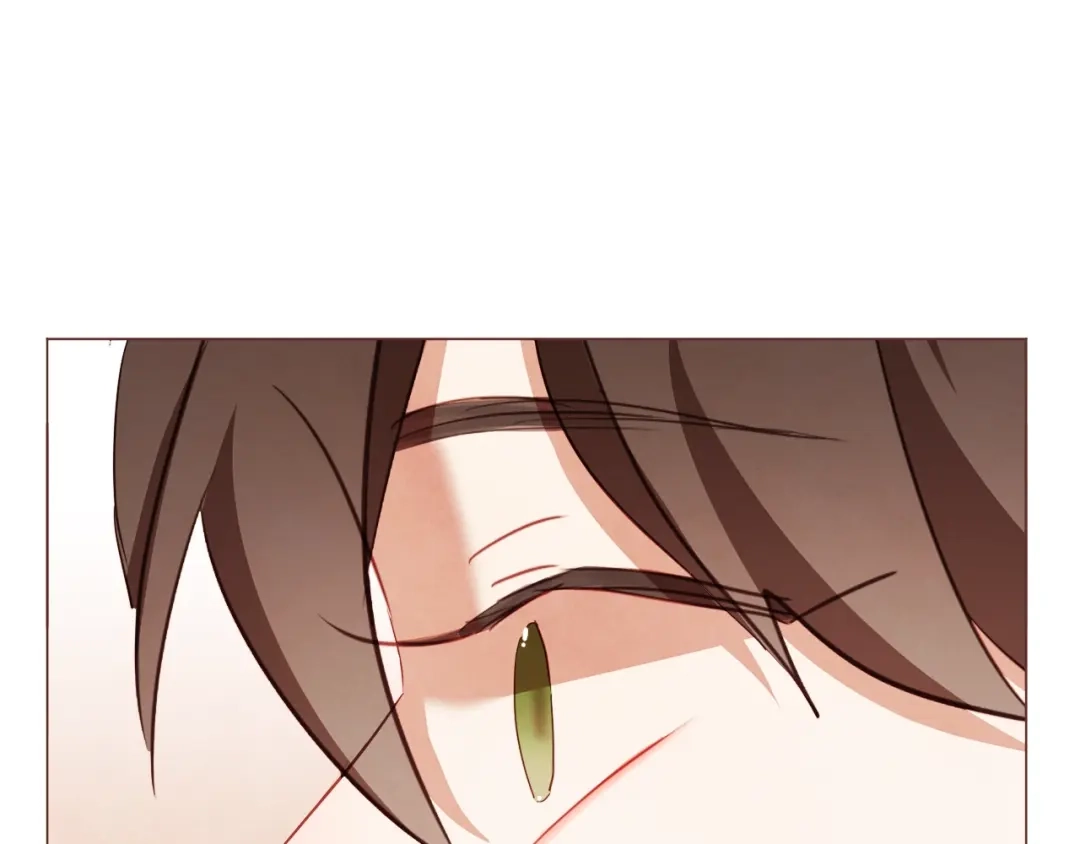 《胡说，哪有什么吸血鬼！》第45话 劝回小可爱之旅 第114页