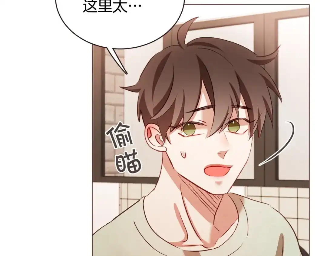 《胡说，哪有什么吸血鬼！》第51话 你到底在意谁？ 第100页