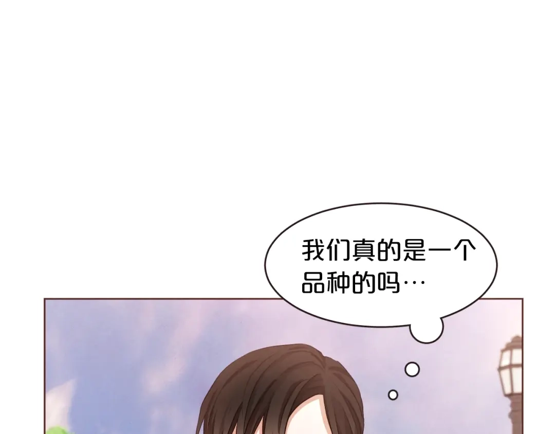 《胡说，哪有什么吸血鬼！》第6话 团宠的饲养法则 第111页