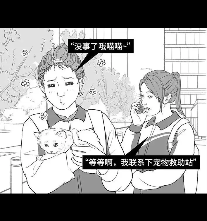 胡渣少女 第195回 校园霸凌 第35页