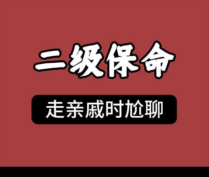 胡渣少女 春节保命指南 胡渣少女 第12页