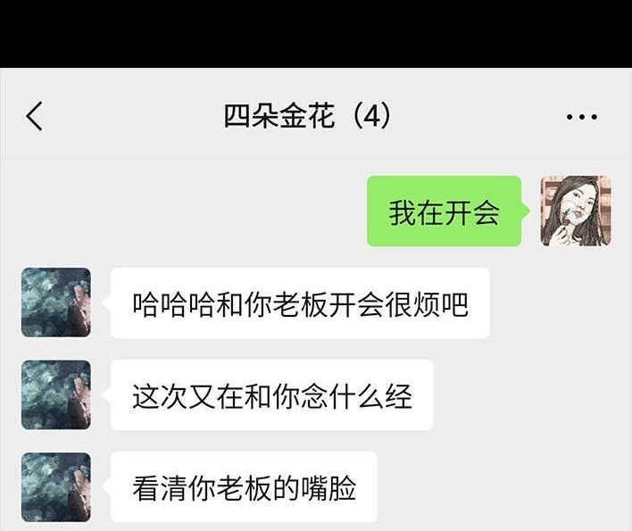 胡渣少女 第39回 开会议 第25页