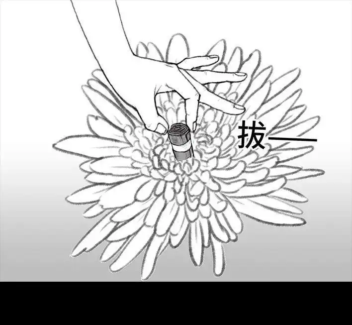 胡渣少女 第94回 痔疮术后 第31页