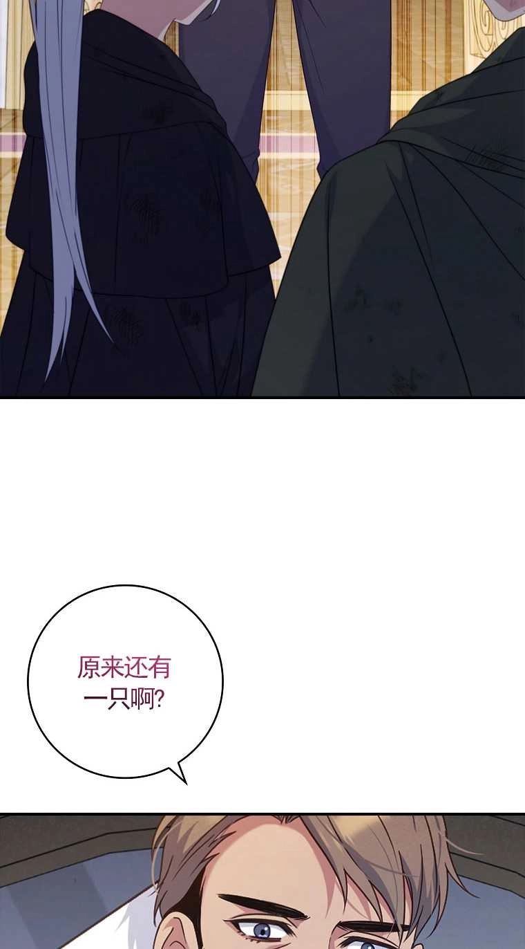 《假的不希望变成真的》第15话 第36页