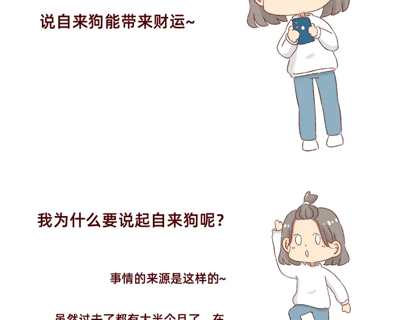 《加零的漫画日记》双11我家来了条单身狗 第3页