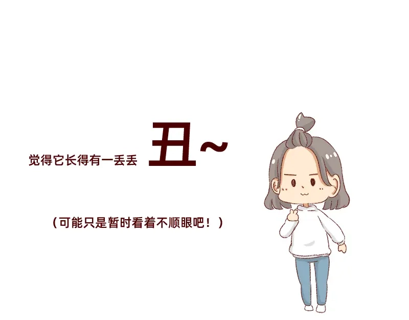 《加零的漫画日记》双11我家来了条单身狗 第8页