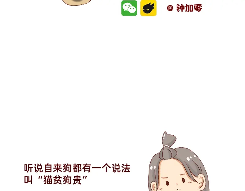 《加零的漫画日记》双11我家来了条单身狗 第2页