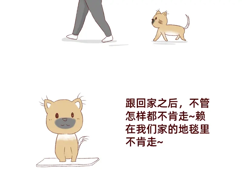 《加零的漫画日记》双11我家来了条单身狗 第5页