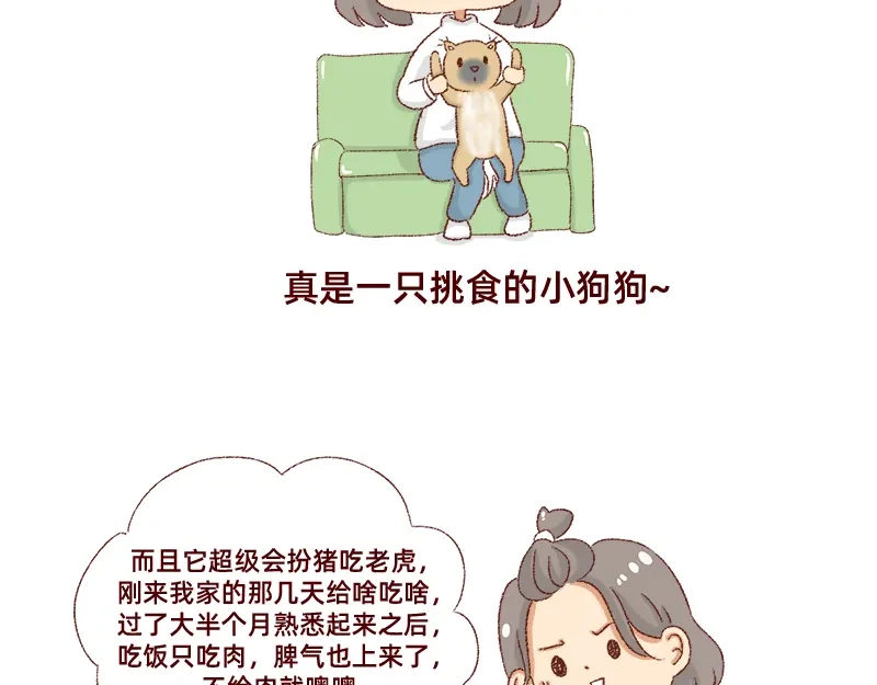《加零的漫画日记》双11我家来了条单身狗 第18页
