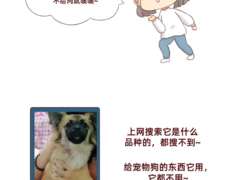 《加零的漫画日记》双11我家来了条单身狗 第19页