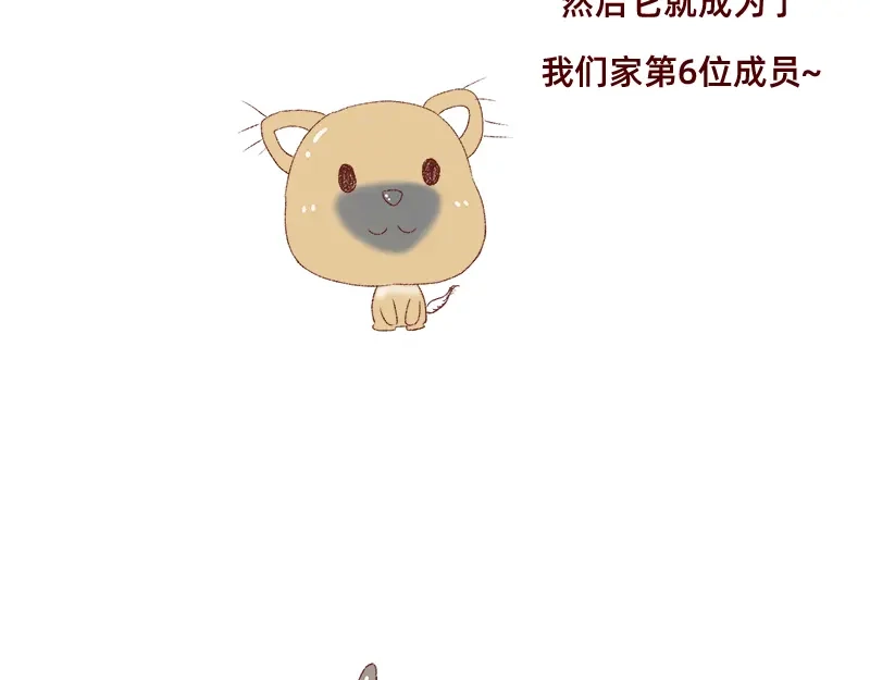 《加零的漫画日记》双11我家来了条单身狗 第11页