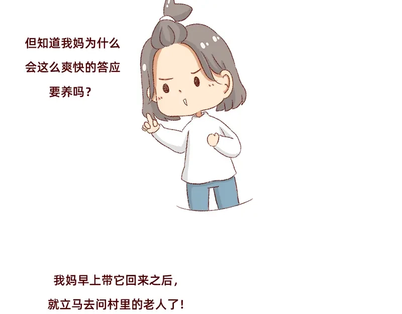 《加零的漫画日记》双11我家来了条单身狗 第12页