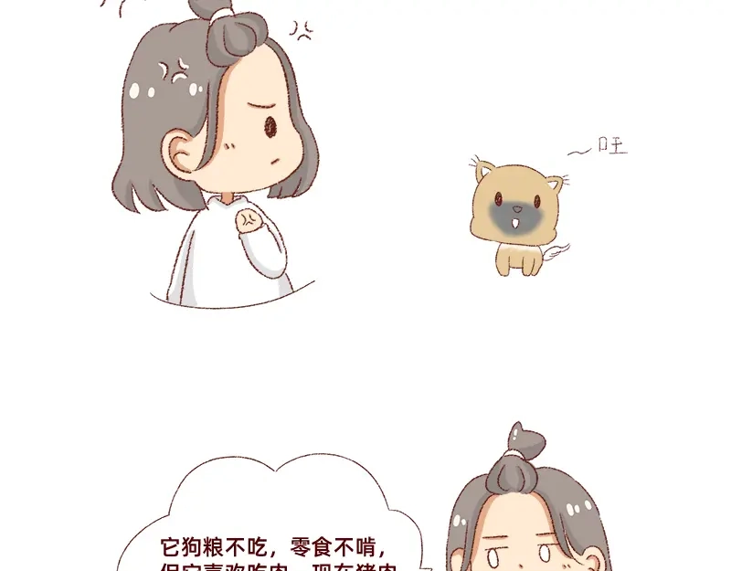 《加零的漫画日记》双11我家来了条单身狗 第16页