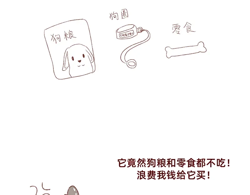 《加零的漫画日记》双11我家来了条单身狗 第15页