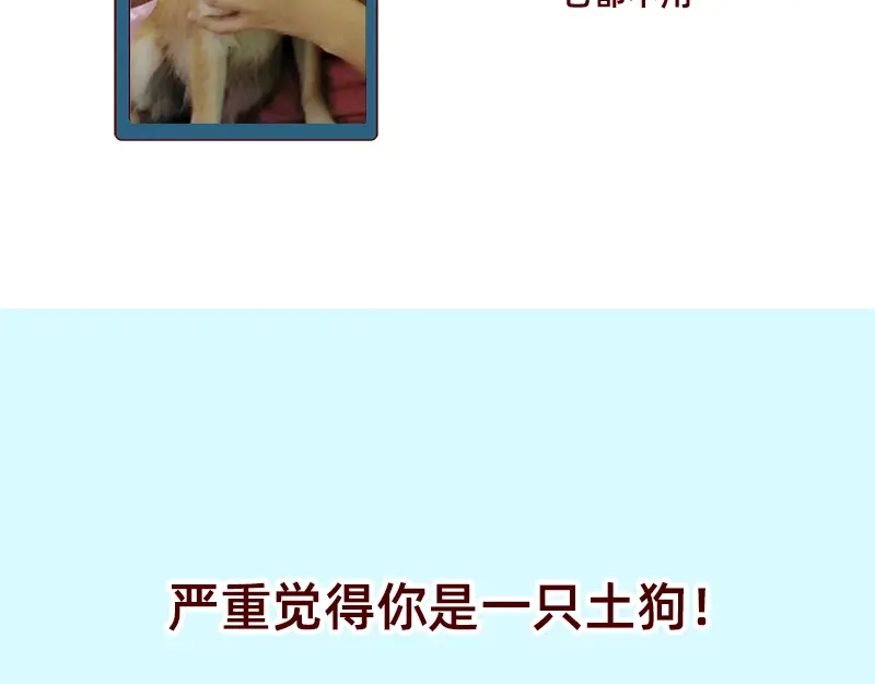 《加零的漫画日记》双11我家来了条单身狗 第20页