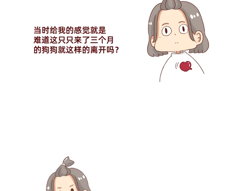 《加零的漫画日记》养宠物就要负责到底！ 第15页