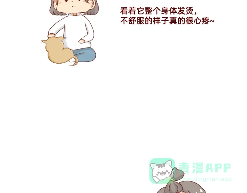 《加零的漫画日记》养宠物就要负责到底！ 第6页