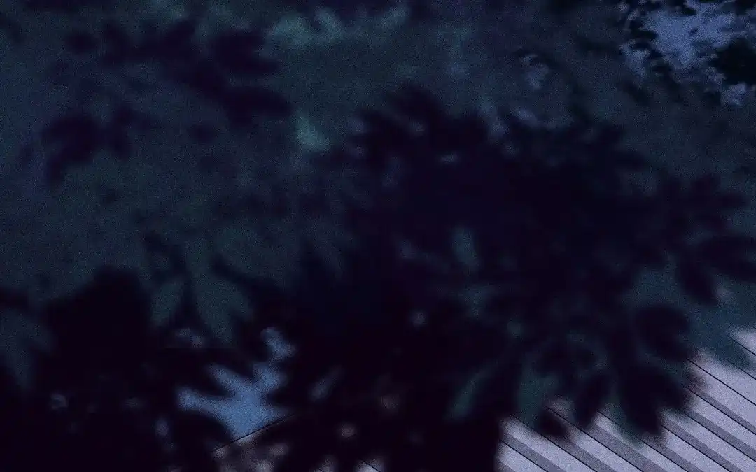 捡到剑圣肿么办 第64话 陷阱 第4页