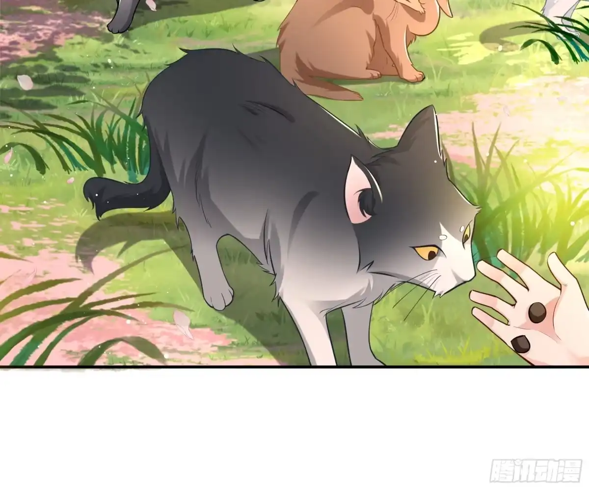 《叫我师哥》出家人的家 第5页