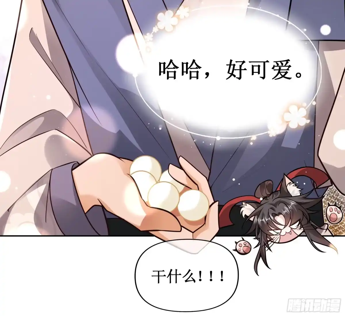 《叫我师哥》汤圆也是有尊严的！ 第5页