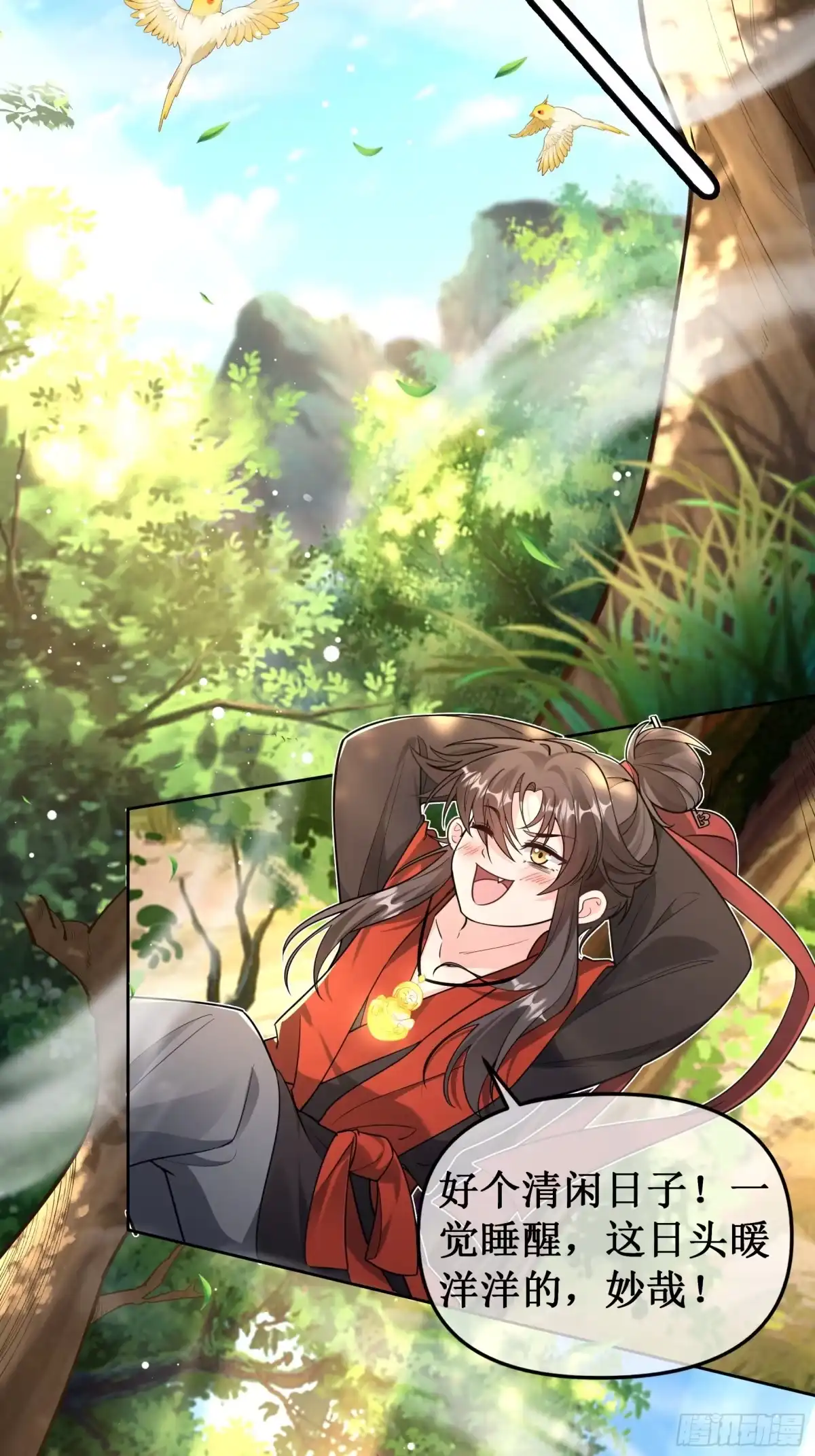 《叫我师哥》无故昏厥，跌落参天大树 第2页
