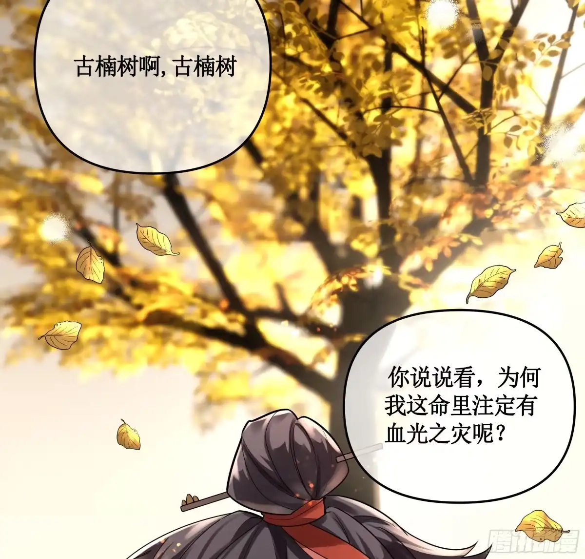 《叫我师哥》断云难聚，灾星问道 第4页