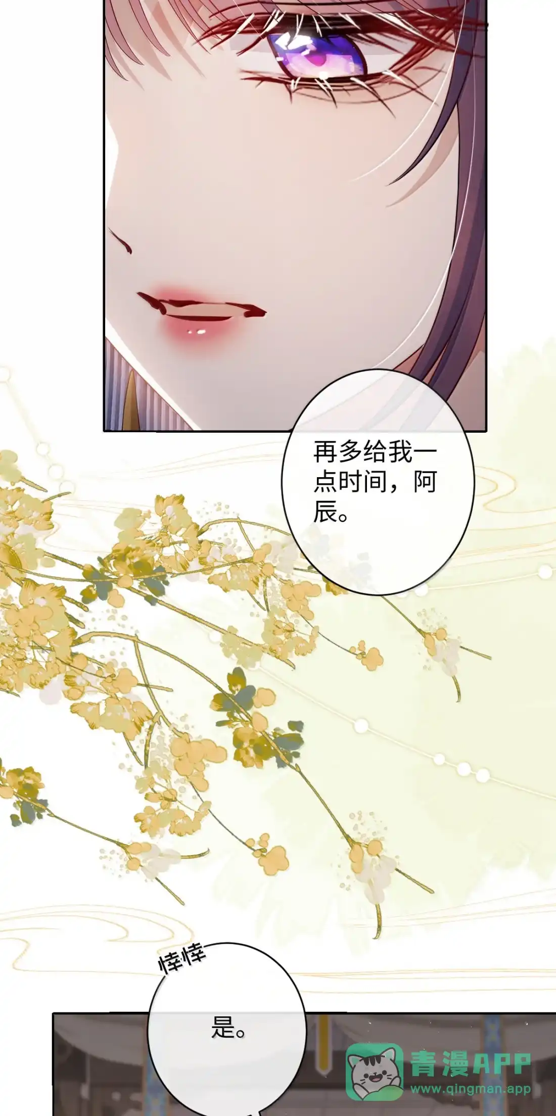 娇养了个疯批美人儿 078 为何？ 第11页