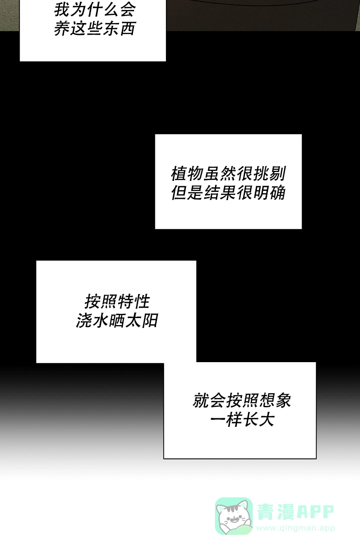 《家族失格》第29话 第6页