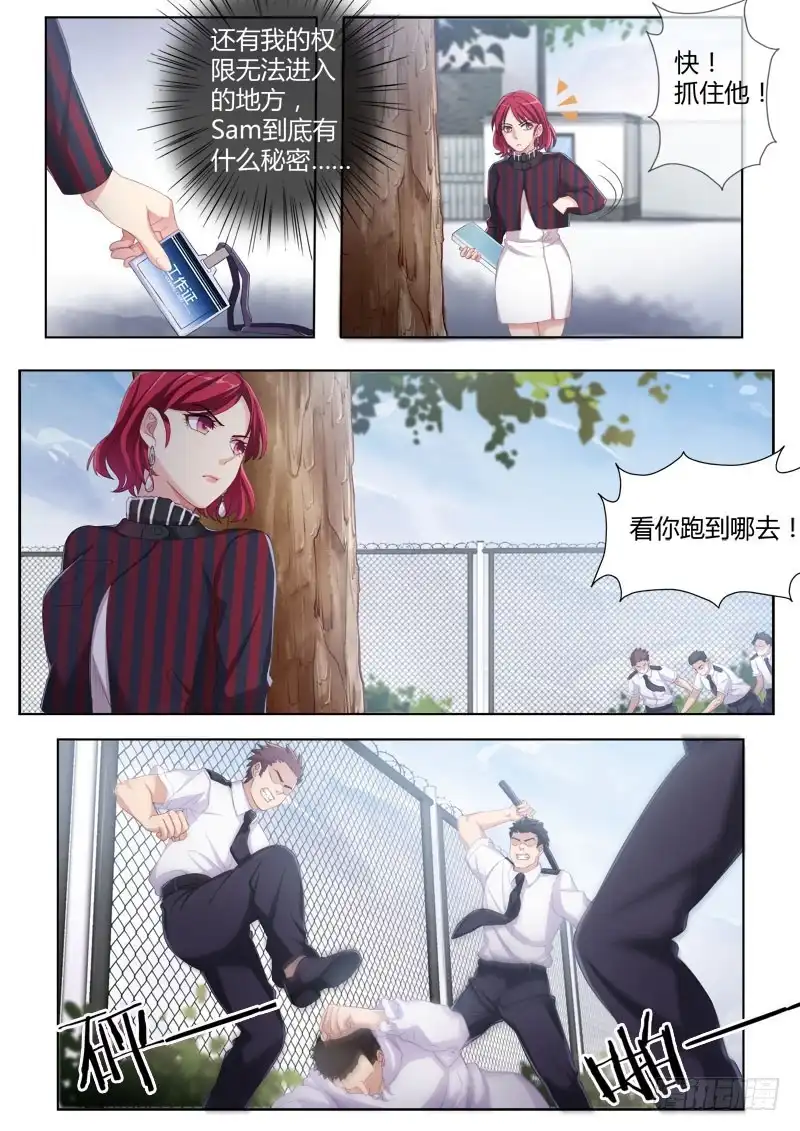 《极道天使》第四百三十二话 第3页