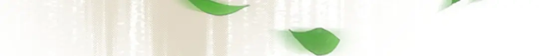 《解离妖圣》第134话 第84页