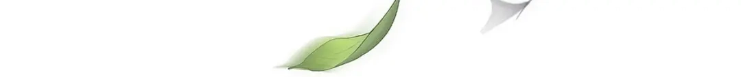 《解离妖圣》第157话 第108页