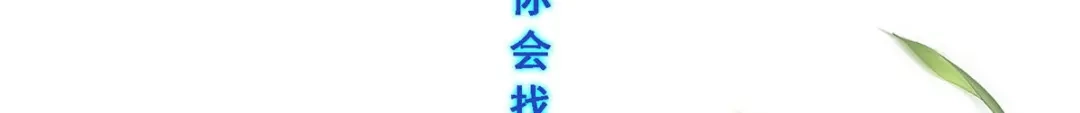 《解离妖圣》第266话 第117页