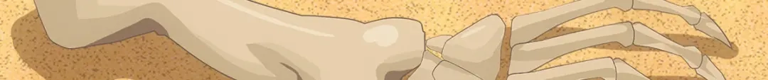 《解离妖圣》第300话 第18页