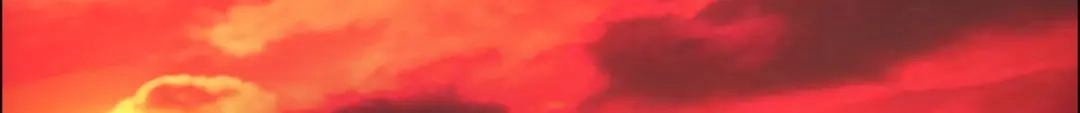 《解离妖圣》第303话 第84页