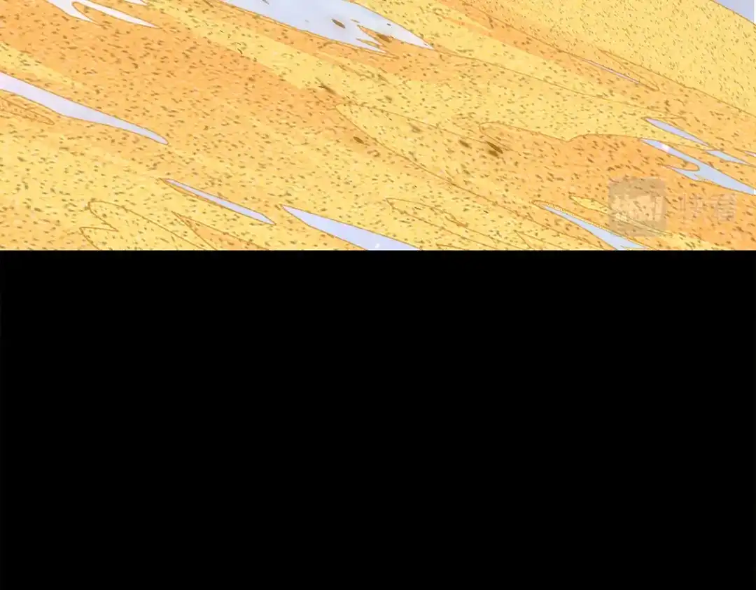 《解离妖圣》第333话 第94页