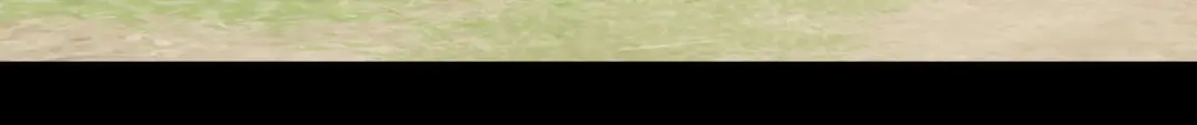 《解离妖圣》第336话 第51页