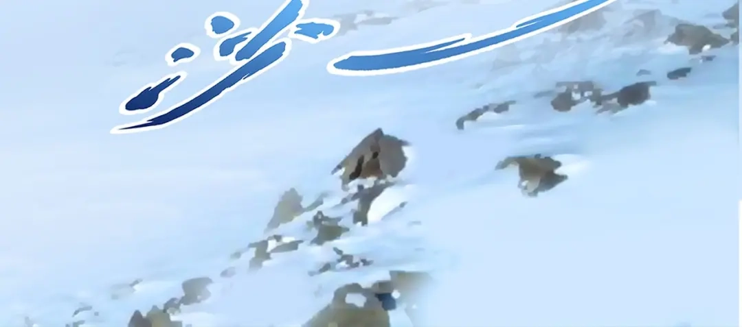 《解离妖圣》第381话 坑货不值得 第5页