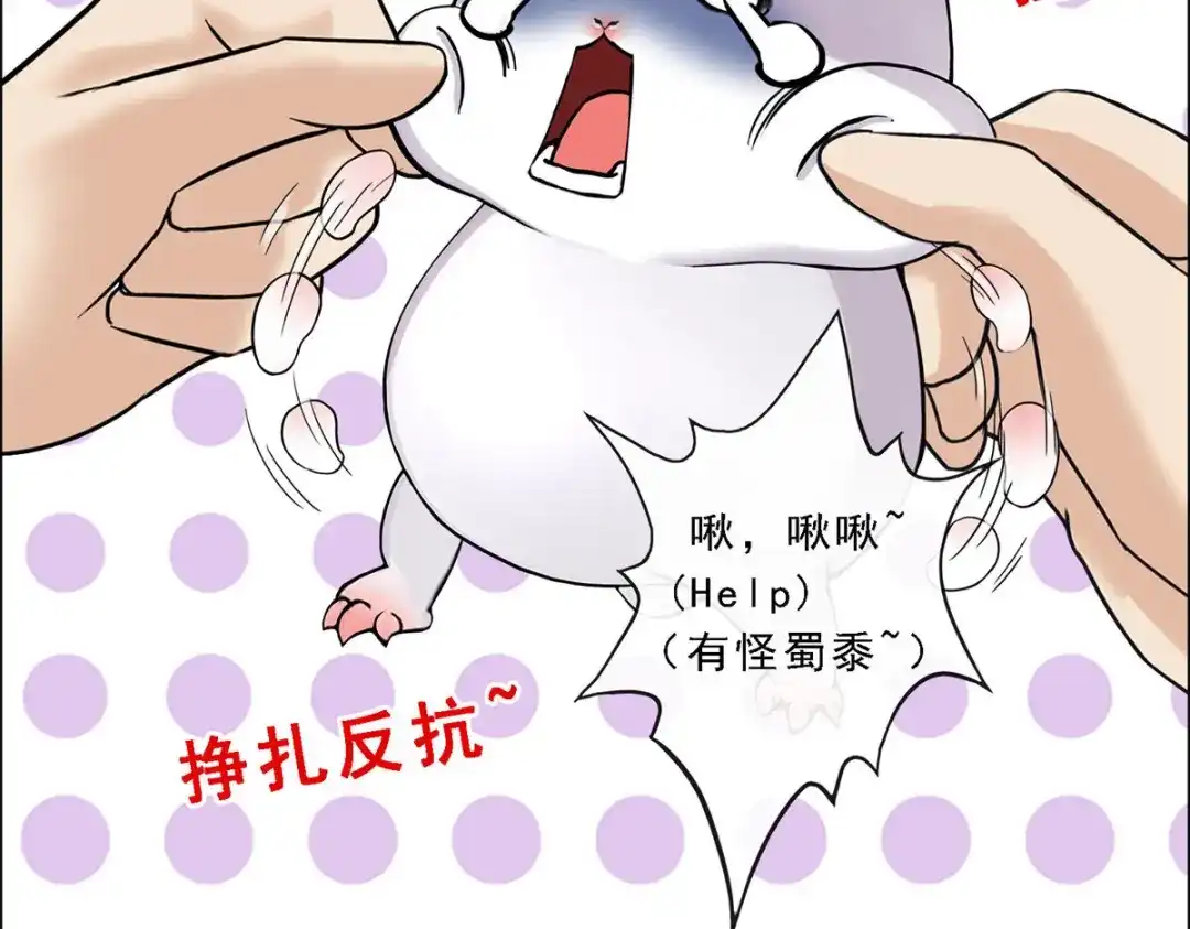 《解离妖圣》第94话 第62页
