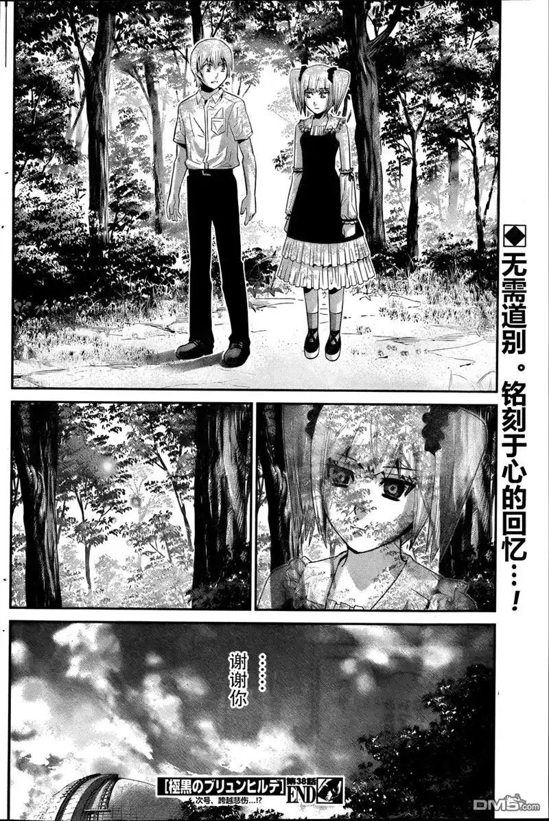 《极黑的布伦希尔特》第38话 第19页