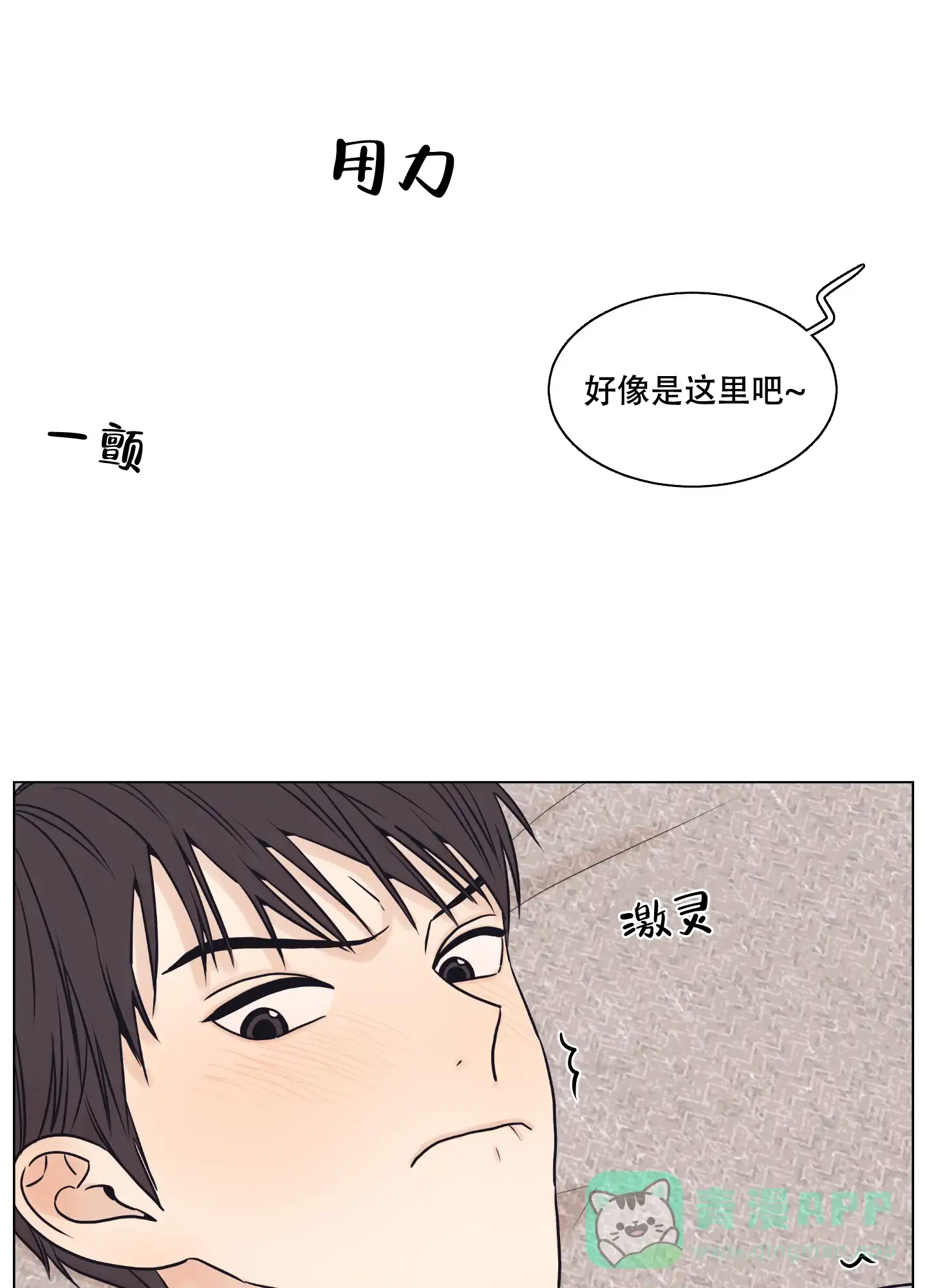 《金代理的规则》第13话 第1页