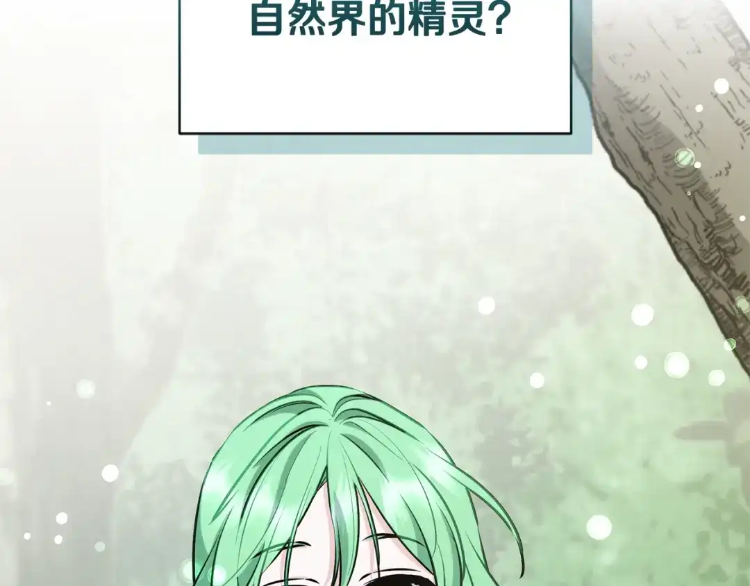 《精灵王女要跑路》第155话 自然界风系精灵 第33页