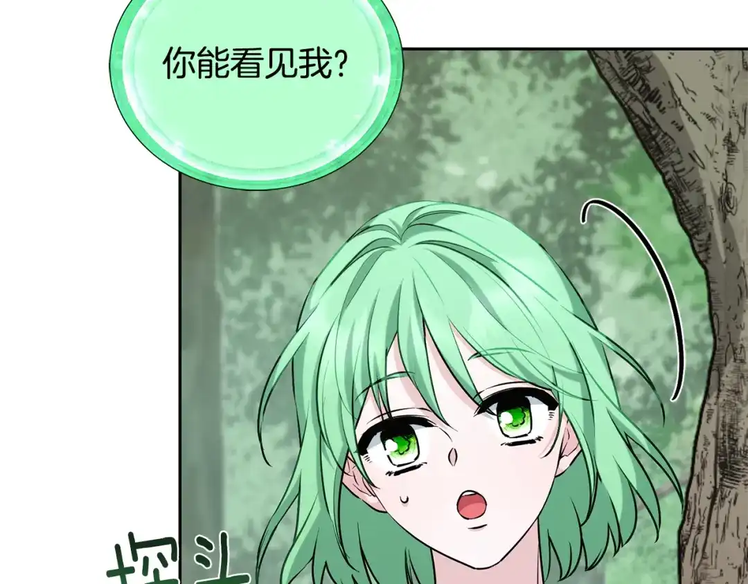 《精灵王女要跑路》第155话 自然界风系精灵 第12页