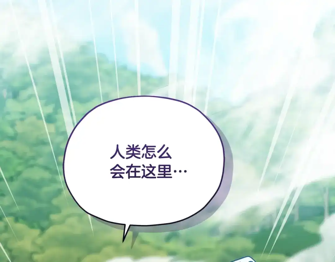 《精灵王女要跑路》第163话 求婚？决斗？ 第2页
