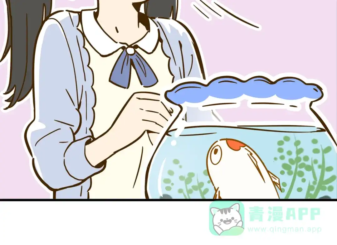 《锦鲤俱乐部》第9-1话 许愿锦鲤 第46页