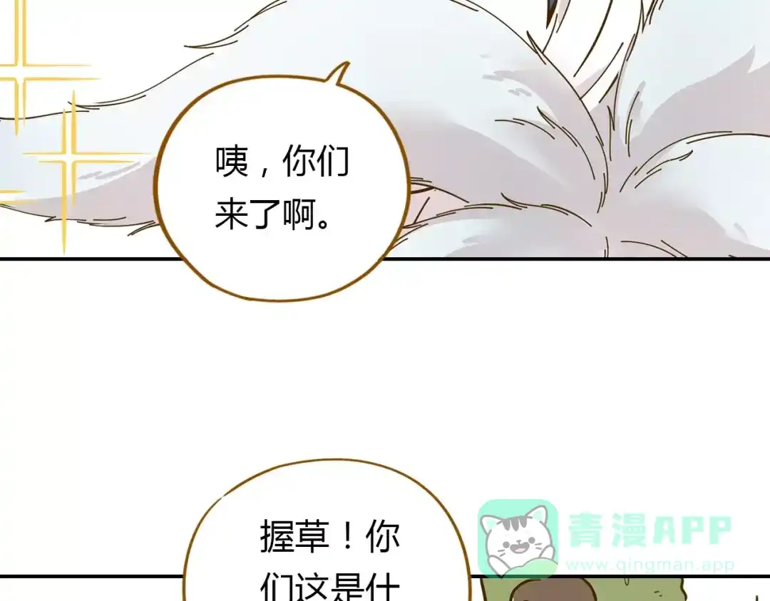 《锦鲤俱乐部》第17-2话 cos海洋生物？ 第41页