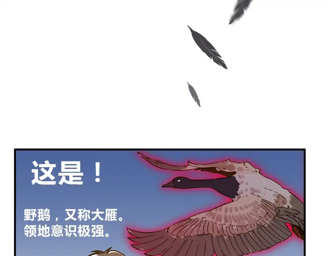 《锦鲤俱乐部》第59话 我会保护你的！ 第63页