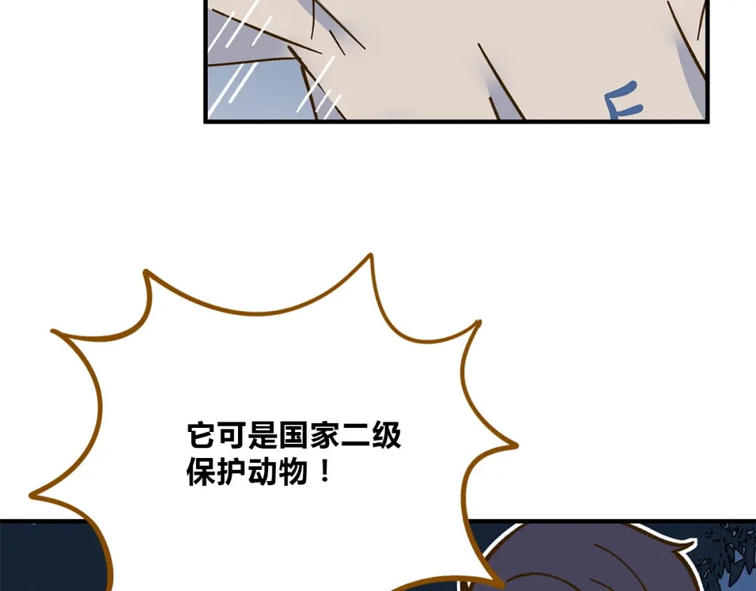 《锦鲤俱乐部》第61话 这次换我保护你 第33页