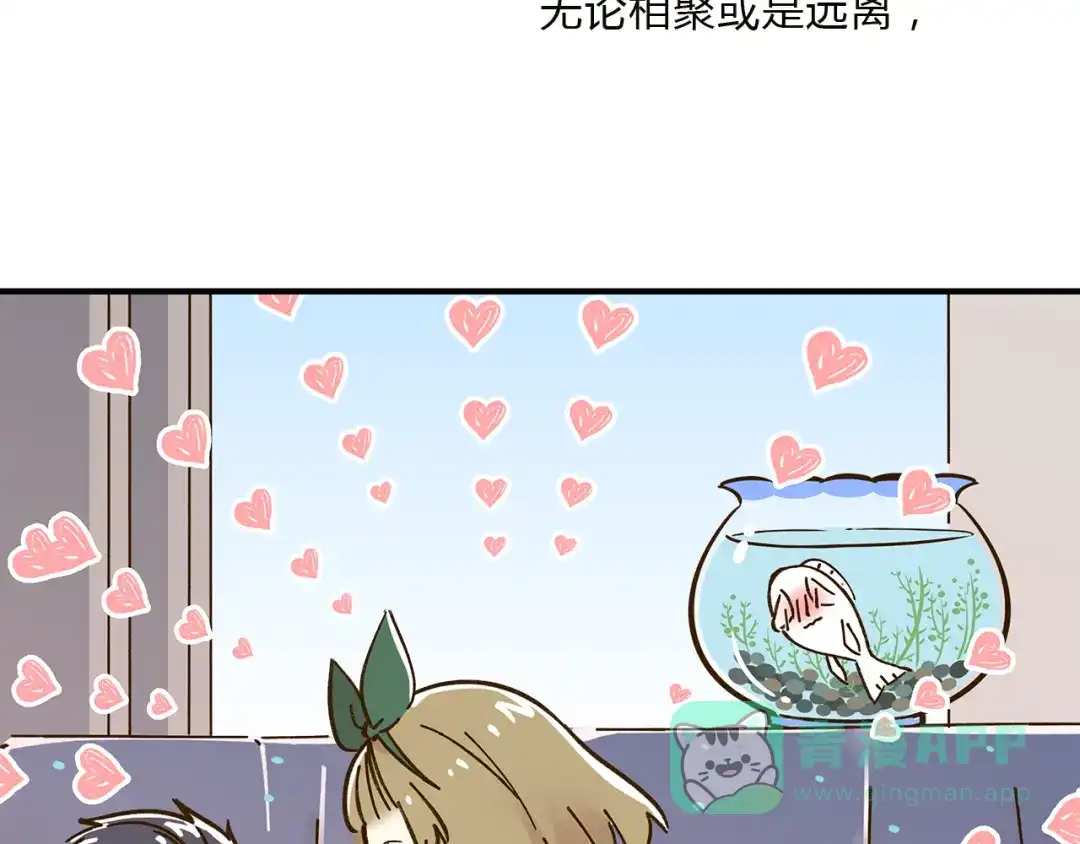 《锦鲤俱乐部》完结篇 终会相遇 第136页