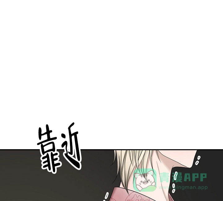 《金丝雀》第11话 第6页